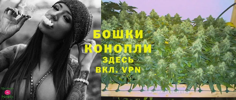 Бошки Шишки White Widow  Великий Новгород 